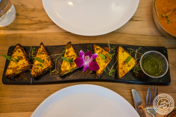 Paneer tikka at Badshah Modern Indian in Hell's Kitchen