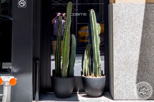 Cosme in NYC, NY