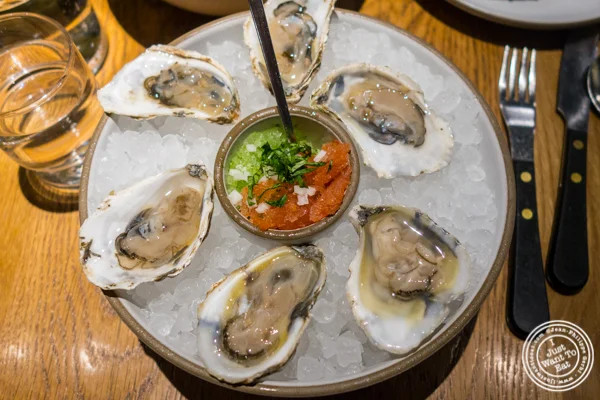 Oysters with sangria at Cosme in NYC, NY
