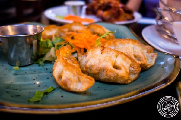 Pork gyoza at La Olas in Hoboken, NJ