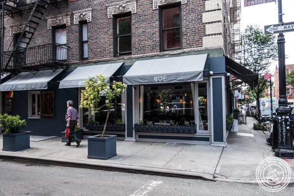 Emily in The West Village