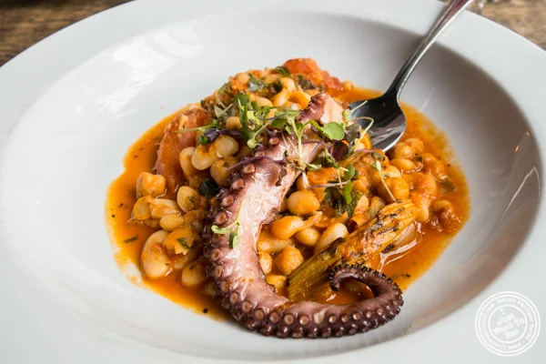 Octopus at Anthony David's in Hoboken