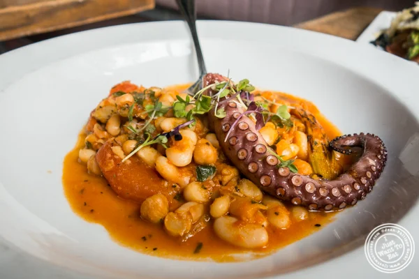 Octopus at Anthony David's in Hoboken