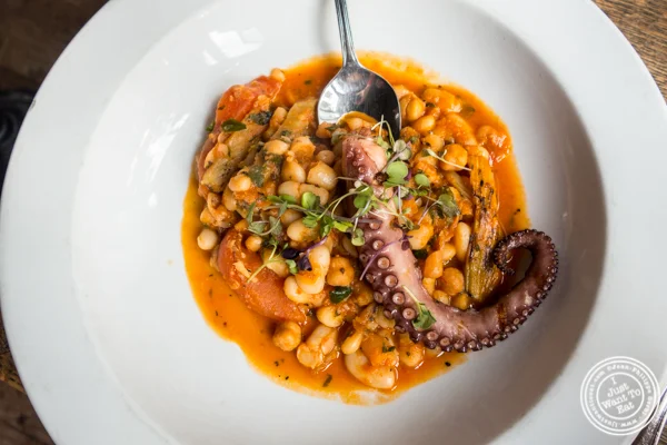 Octopus at Anthony David's in Hoboken