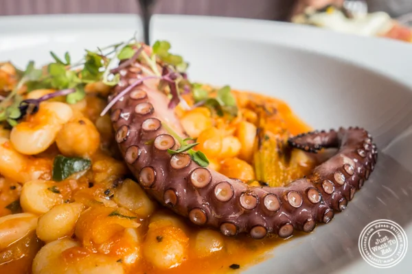 Octopus at Anthony David's in Hoboken