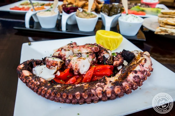 Octopus at Greek Town in Hoboken, NJ
