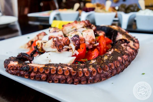 Octopus at Greek Town in Hoboken, NJ