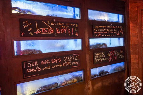 Fish tanks at Burger and Lobster in Times Square