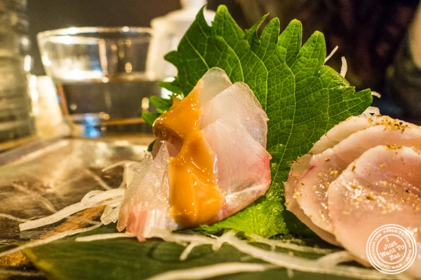 Blue Fusilier at Amami in Greenpoint, Brooklyn 