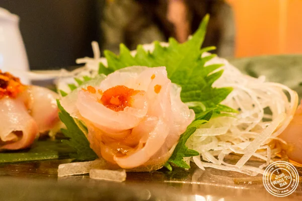 Grouper at Amami in Greenpoint, Brooklyn 