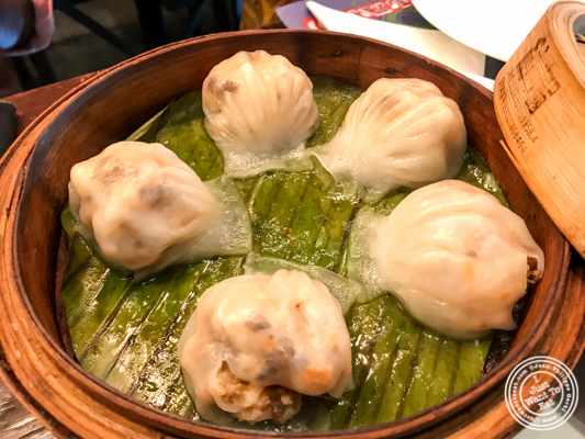 Shrimp dumplings at Soi 7 Pub & Brewery at The Cyber Hub in Gurgaon, India