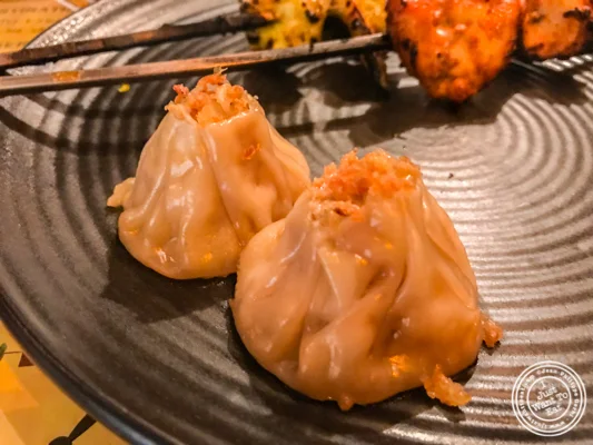 Chicken momo at Pirates of Grill at The Mall of India, Noida