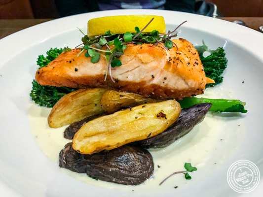 Pan seared salmon at Bistro 72 in Riverhead, Long Island