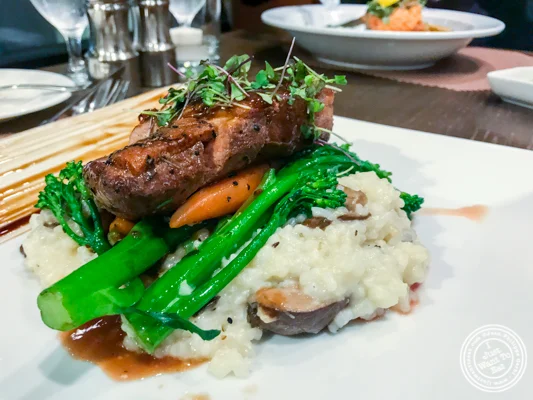 Duck at Bistro 72 in Riverhead, Long Island