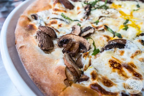 Pizza tartuffo e ueva at Otto Strada in Hoboken, NJ