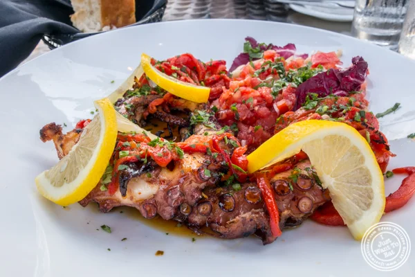 Octopus at Otto Strada in Hoboken, NJ