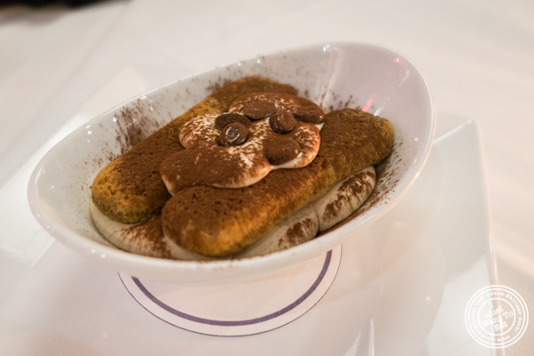 Tiramisu at Davio's Italian Steakhouse in NYC, NY