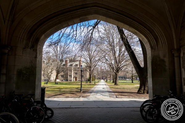 Princeton University