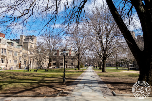 Princeton University