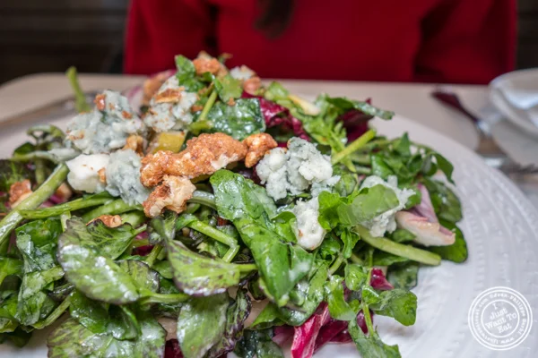 Watercress and radicchio salad at Cargot Brasserie in Princeton, NJ