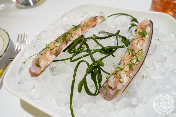 Razor clam at Marea in NYC, NY
