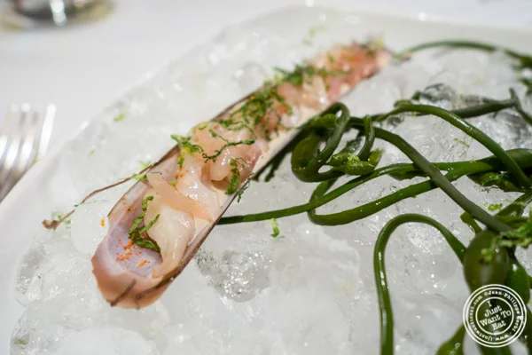 Razor clam at Marea in NYC, NY