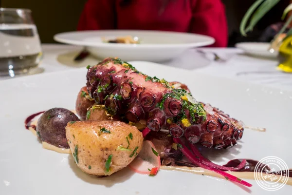 Octopus at Marea in NYC, NY