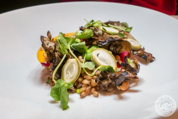 Faro salad at Marea in NYC, NY
