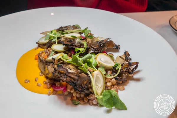 Faro salad at Marea in NYC, NY