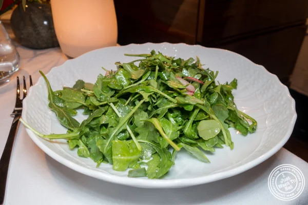 Salad at Marea in NYC, NY