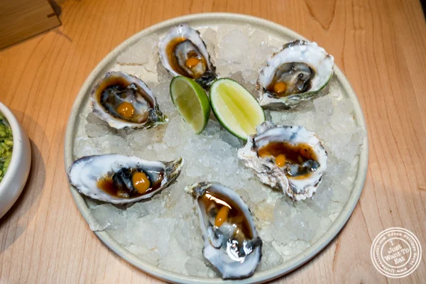Oysters at Empellon Midtown in NYC, NY