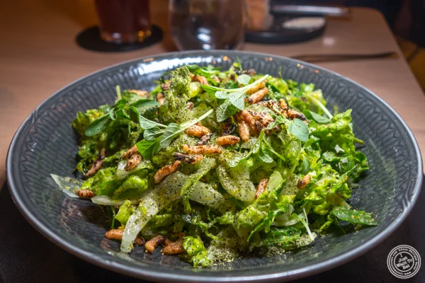 Green salad at Agern, in Grand Central Terminal, NYC