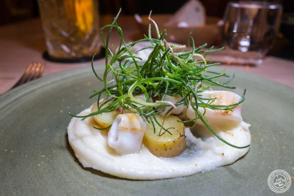 Grilled squid at Agern, in Grand Central Terminal, NYC
