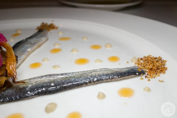 Sardines at Babbo Ristorante e Enoteca in NYC, NY
