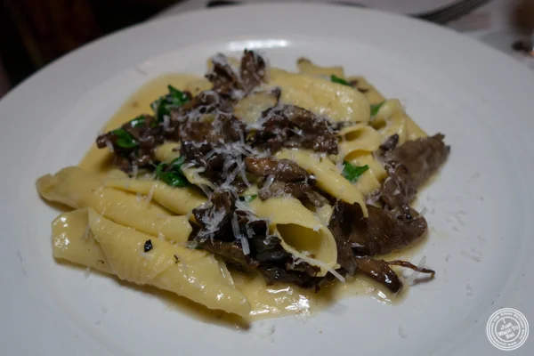 Garganelli pasta at Babbo Ristorante e Enoteca in NYC, NY