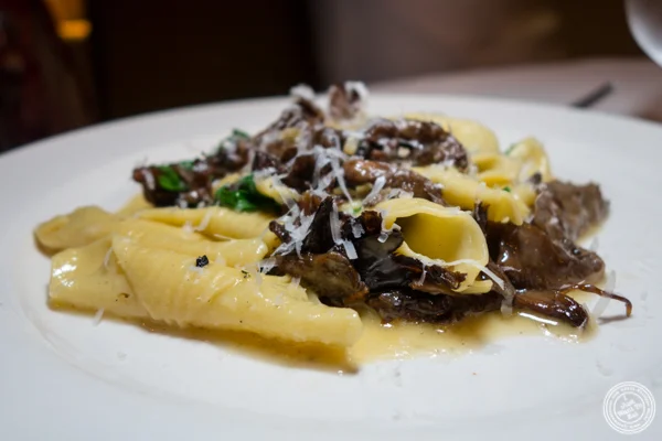 Garganelli pasta at Babbo Ristorante e Enoteca in NYC, NY