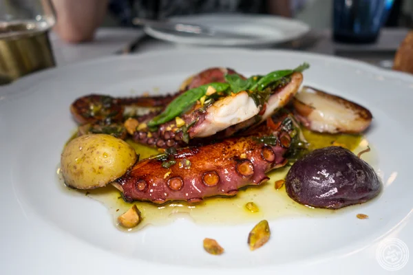 Octopus at La Sirena in NYC, NY