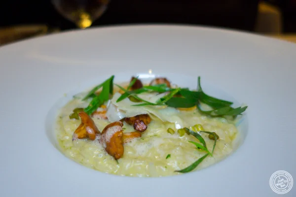 Corn risotto at cCafé Boulud in NYC, NY