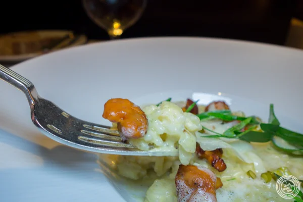 Corn risotto at Café Boulud in NYC, NY