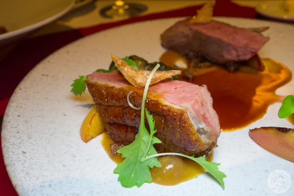 Duck at Café Boulud in NYC, NY