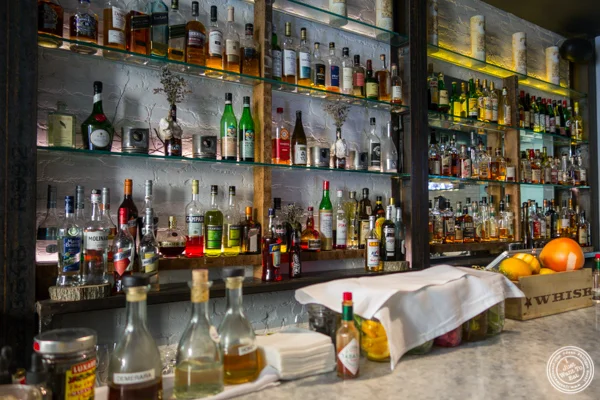 Bar at Stingray Lounge in Hoboken, NJ
