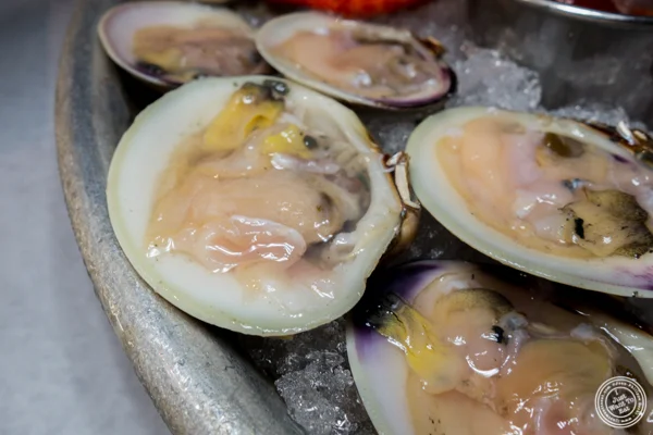 Clams at Stingray Lounge in Hoboken, NJ