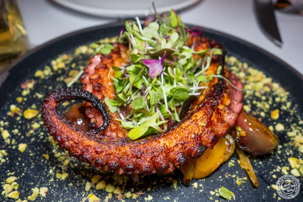 Charred octopus at PN Wood Fired Pizza in NYC, NY