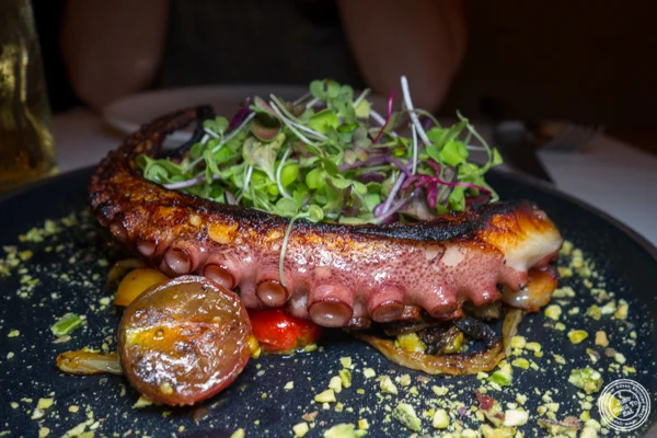 Charred octopus at PN Wood Fired Pizza in NYC, NY