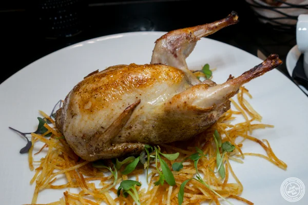 Northfolk quail at Le Coq Rico in NYC, NY