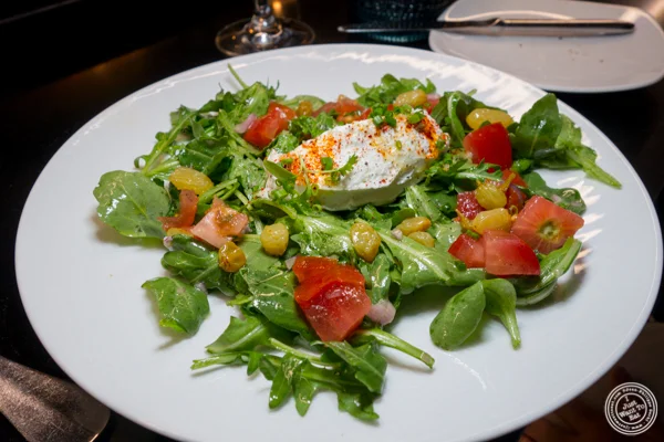 Arugula salad with goat cheese at Le Coq Rico in NYC, NY
