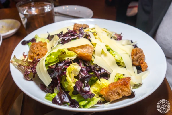 Bibb & Red Oak Leaf Lettuces salad at Union Square Cafe in NYC, NY