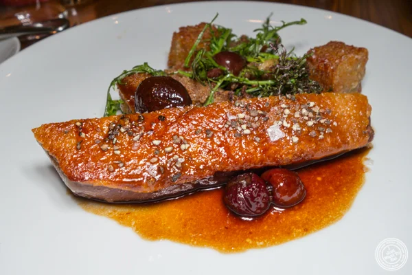 Pekin duck breast at Union Square Cafe in NYC, NY