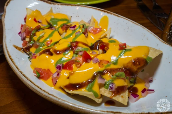 Naanchos at Soul Curry in Hoboken, NJ