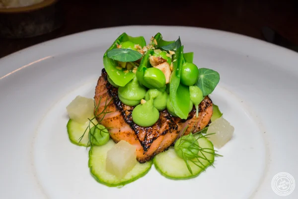 Salmon at The Musket Room in NYC